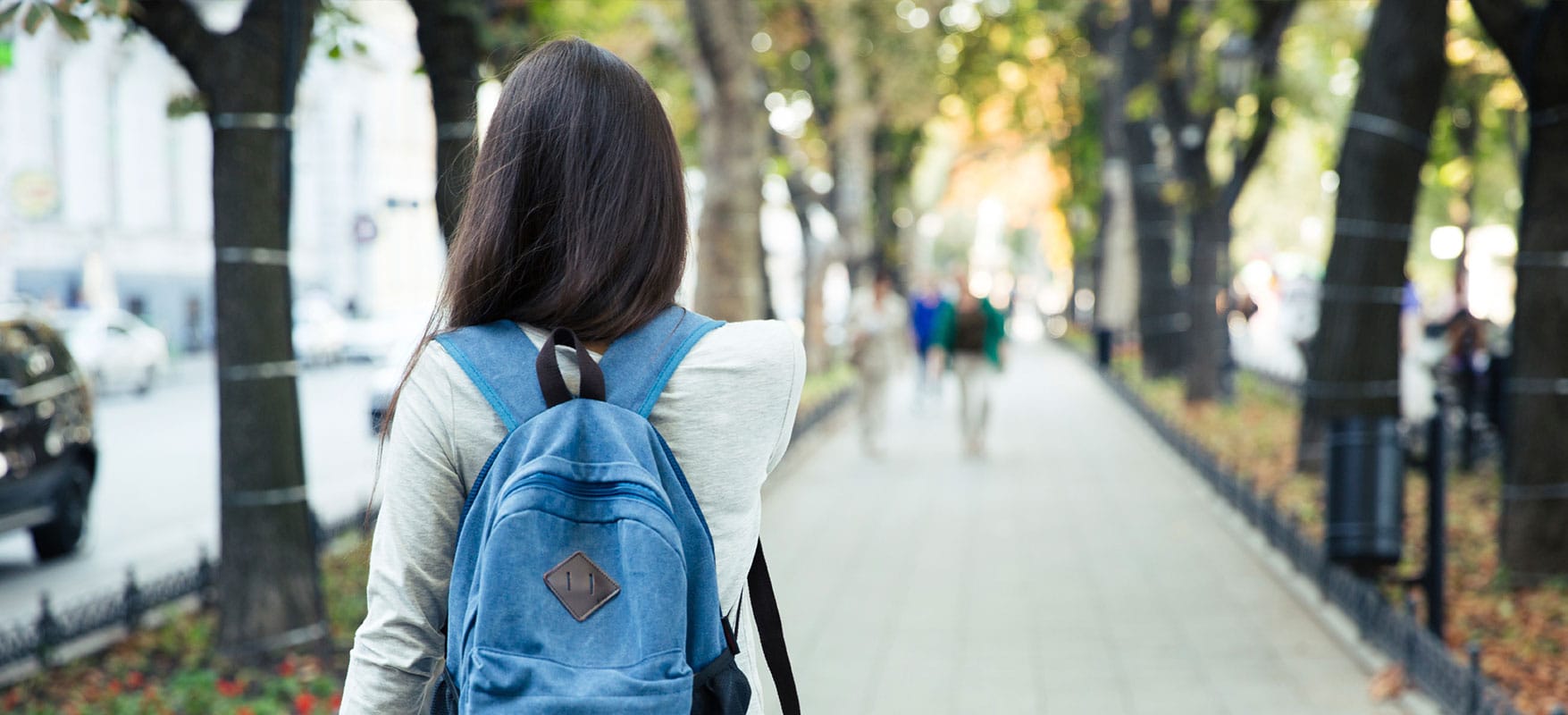 University Pathway